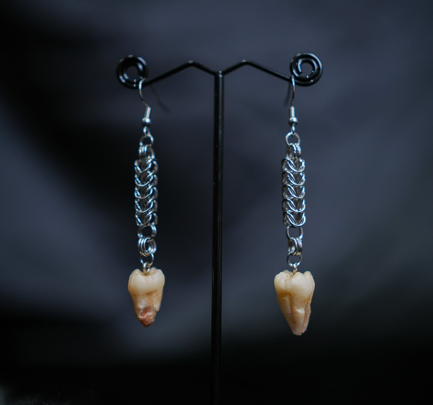 Tooth Chainmail Earrings